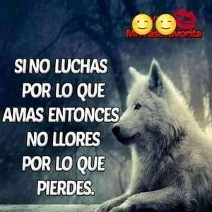 Meet your Posher, Angelo